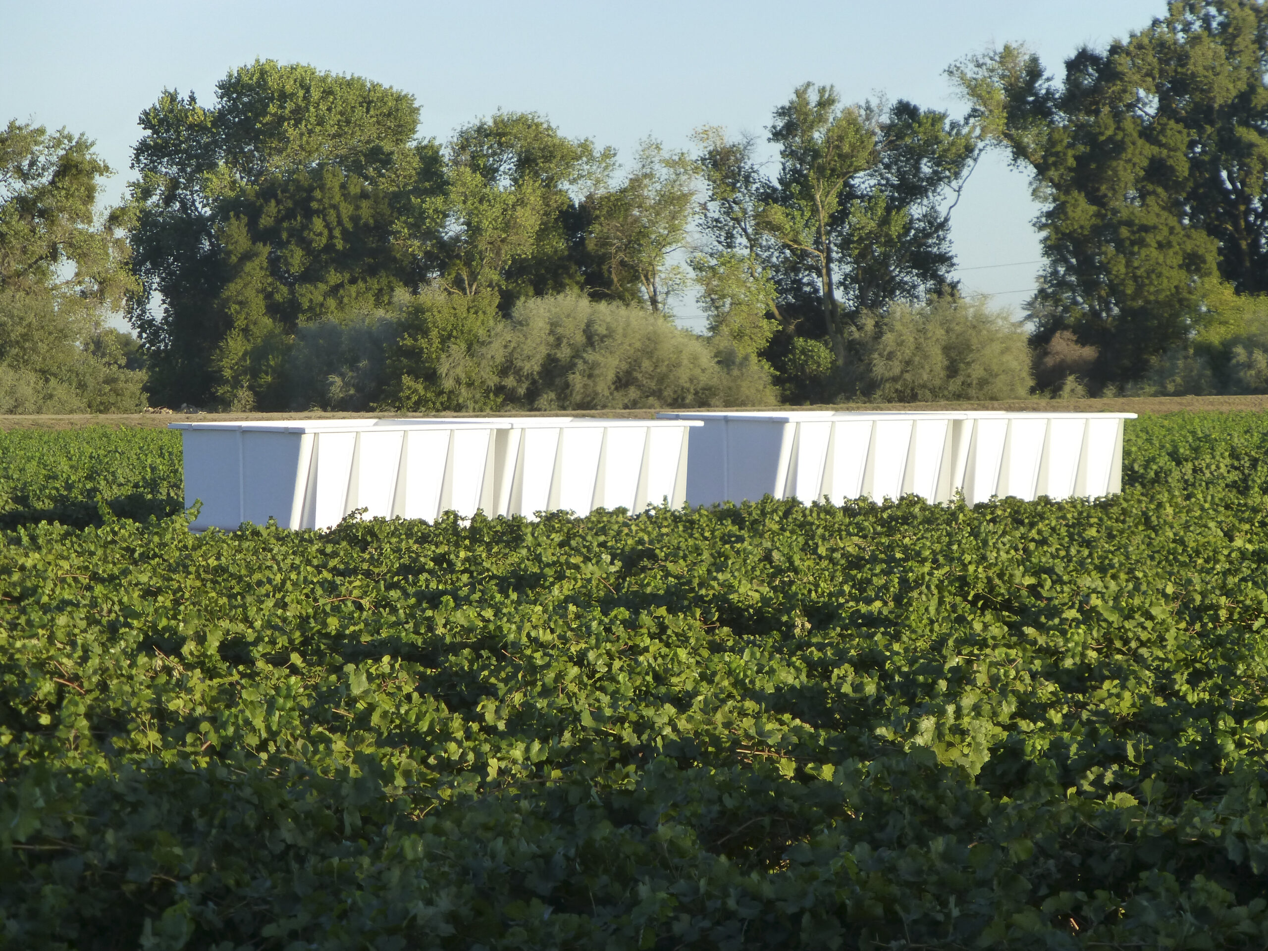 DT Fiberglass - Grape Agriculture Products -2